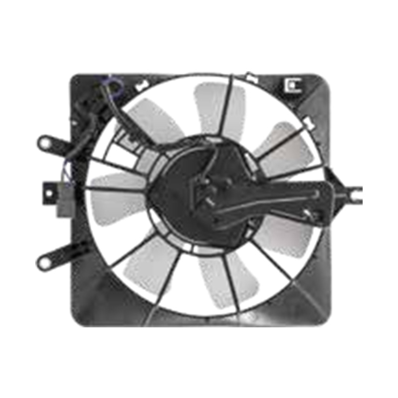 FIT/JAZZ ( RAD FAN ) 2007-2008 CFHS54